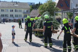 2026 Maibaumaufstellung